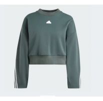 Толстовка Adidas Future Icons IS3879_image_46
