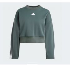 Толстовка Adidas Future Icons IS3879