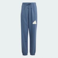 Спортивные брюки Adidas Future Icons Logo IS4395