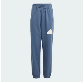 Спортивні штани Adidas Future Icons Logo IS4395