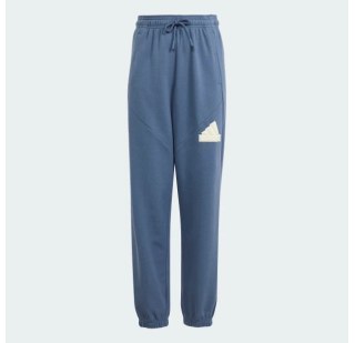 Спортивні штани Adidas Future Icons Logo IS4395