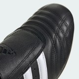 Кросівки Adidas Taekwondo JQ4775_image_7