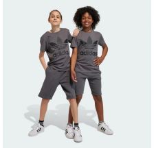 Шорти Adidas Adicolor IJ9731