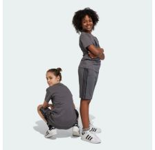 Шорти Adidas Adicolor IJ9731
