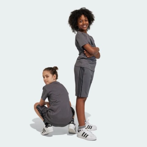 Шорти Adidas Adicolor IJ9731_image_2