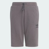 Шорти Adidas Adicolor IJ9731_image_5