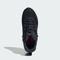 Ботинки мужские Adidas Terrex Anylander Cl JH6234