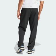 Спортивні штани Adidas Terrex Multi Liteflex JF3709