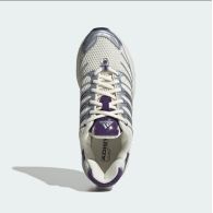 Жіночі кросівки Adidas Adistar Control 3 KJ2344