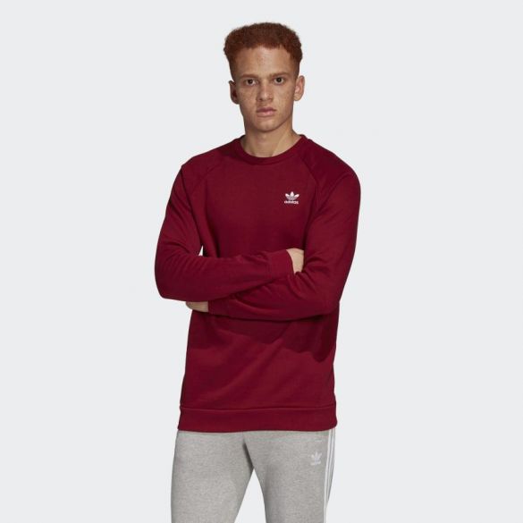 Мужской джемпер Adidas Essentials FQ3344_image_1