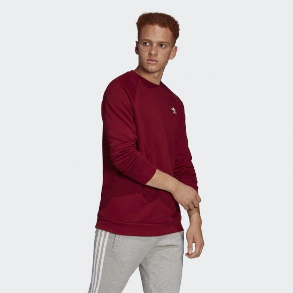 Мужской джемпер Adidas Essentials FQ3344_image_2