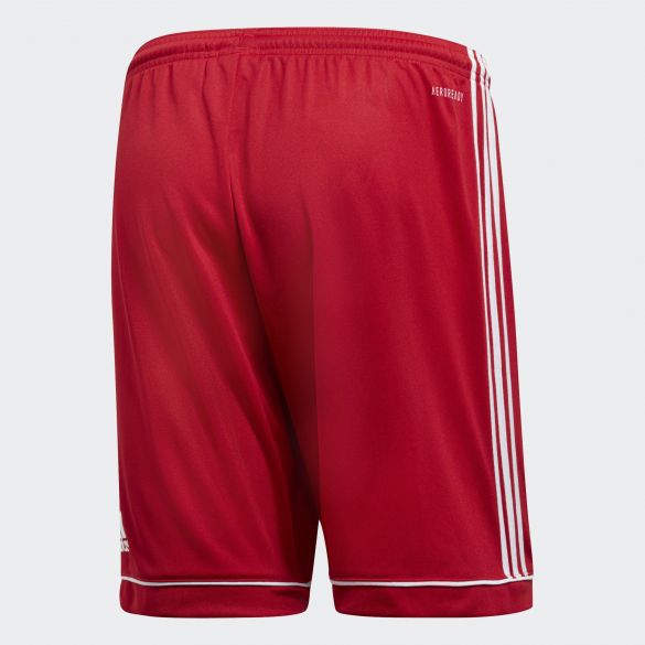 Мужские шорты Adidas Squadra 17 BJ9226_image_2