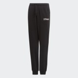 Детские брюки Adidas Kaval DV2378_image_1