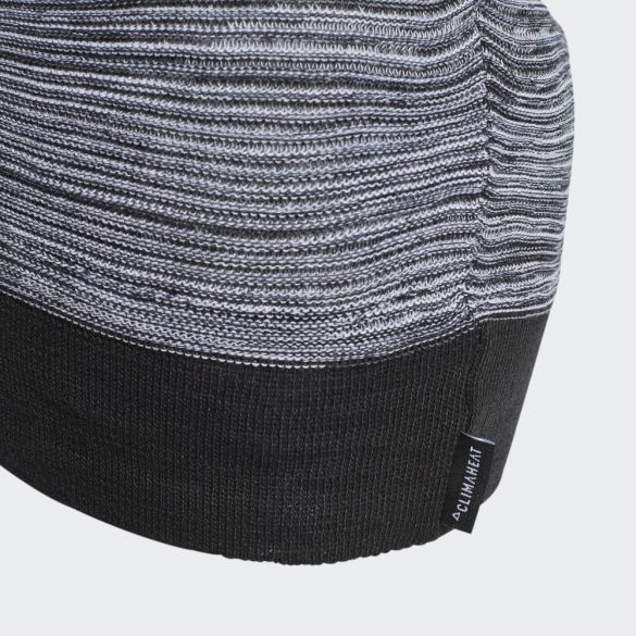 Шапка Adidas Terrex Logo Beanie DY4913_image_3