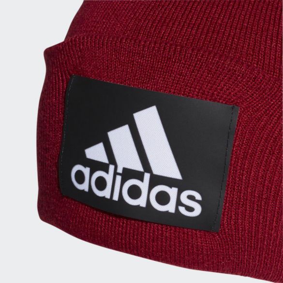 Шапка adidas Logo Woolie DZ8931_image_3