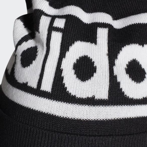 Шапка Adidas Logo Pom Woolie ED0239_image_4