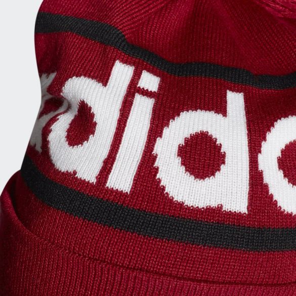Шапка Adidas Logo Pom Woolie ED0241_image_4