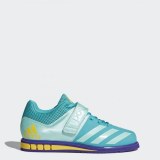 Жіночі штангетки Adidas Powerlift 3.1 BY8890_image_1