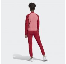 Жіночий спортивний костюм Adidas Wts New Co Mark EI0753