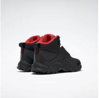 Чоловічі черевики Reebok Trail Chaser III FY4443_image_9