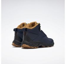 Чоловічі черевики Reebok Trail Chaser III FY4444