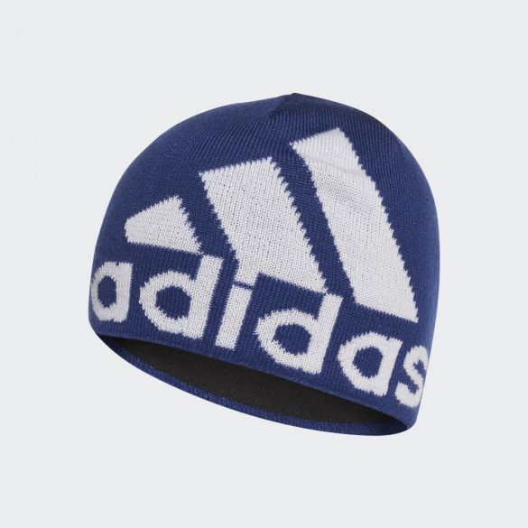 Шапка Adidas Aeroready Big Logo GS2108_image_1