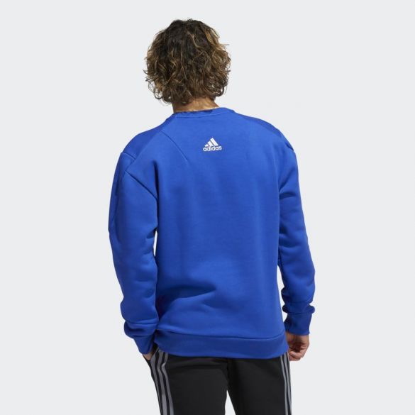 Мужской реглан Adidas Reverse Retro H19275_image_2