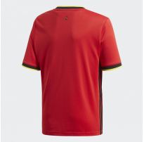 Дитяча футболка Adidas Belgium Home K EJ8551_image_5