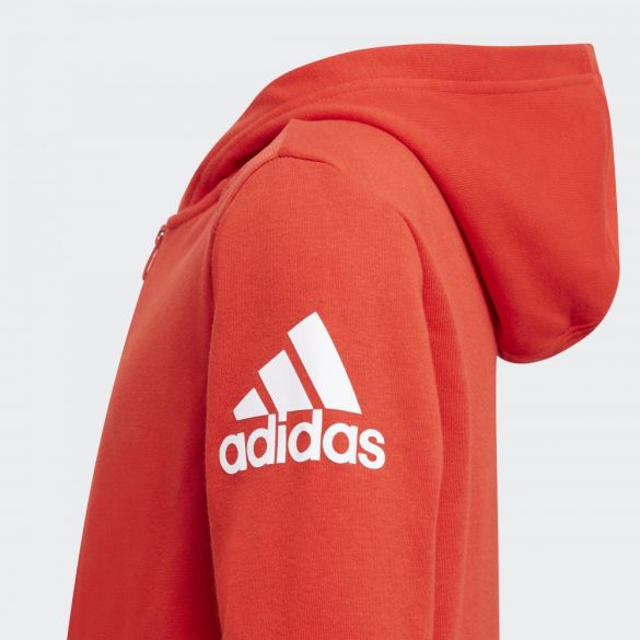 Детская толстовка Adidas Logo GJ6638_image_4