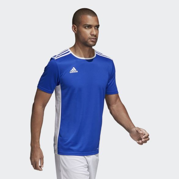 Футболка Adidas Entrada18 CF1037_image_1