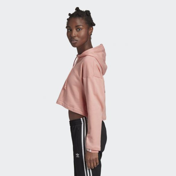 Жіноча худі Adidas R.Y.V. GD3088_image_3