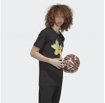 Футболка Adidas Road to Wembley FM3721_image_9