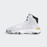 Чоловічі кросівки Adidas PRO Bounce 2019 EE3896_image_2