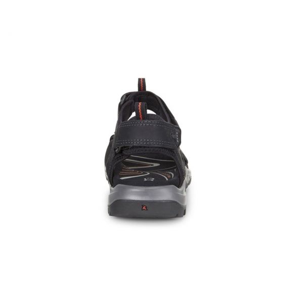 Мужские сандалии Ecco Offroad 822044-12001