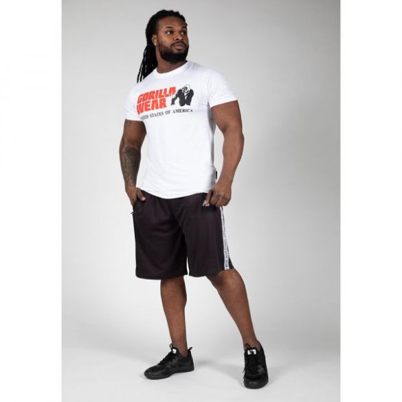 Шорти Gorilla Wear Reydon Mesh Shorts 2.0 Gray / Black 90964900_image_4