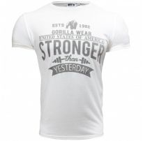 Футболка Gorilla Wear Hobbs T-shirt White 90533100_image_3