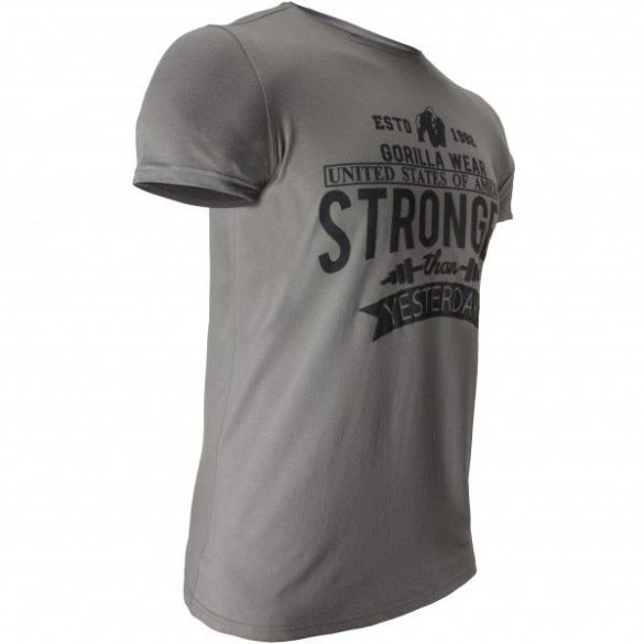 Футболка Gorilla Wear Hobbs T-shirt Gray 90533800_image_2