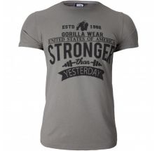Футболка Gorilla Wear Hobbs T-shirt Gray 90533800
