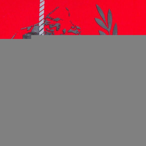 Футболка Gorilla Wear Rock Hill T-Shirt Red 90543500_image_3