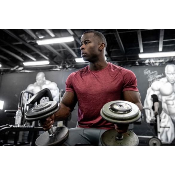 Футболка Gorilla Wear Taos T-Shirt Burgundy Red 90547500_image_4