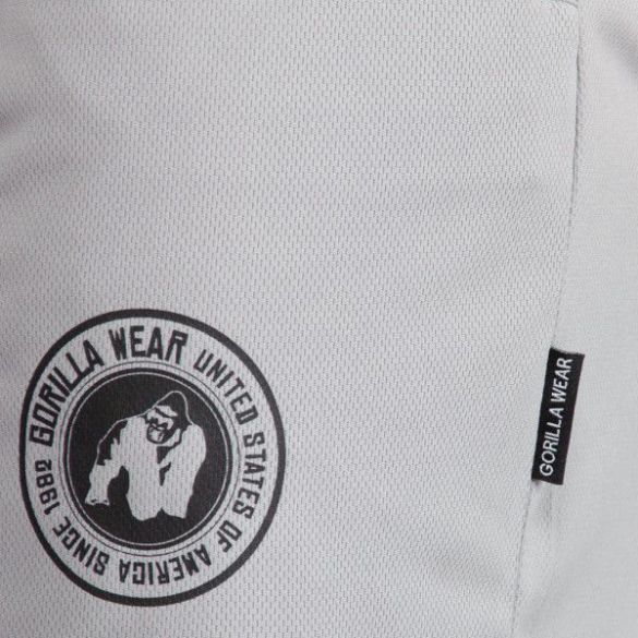 Шорти Gorilla Wear Forbes Shorts Gray 90936800_image_3