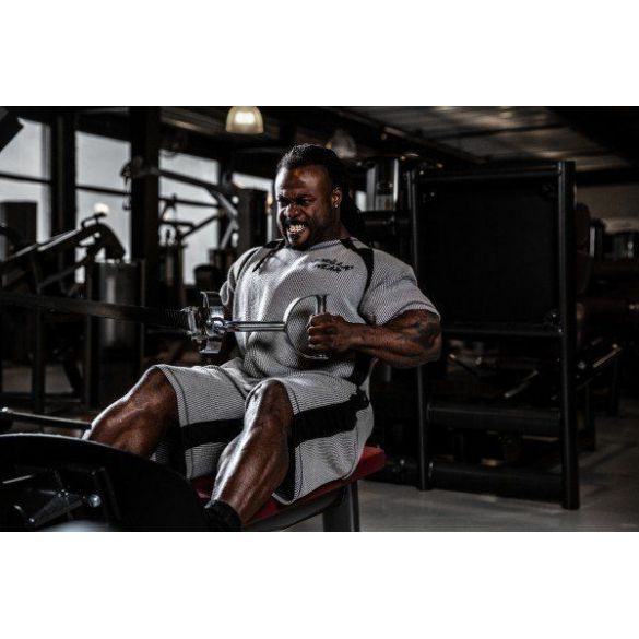 Шорти Gorilla Wear Augustine Old School Shorts Gray 90939800_image_4