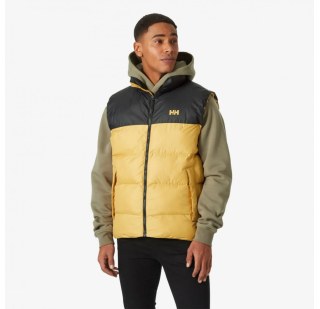 Чоловічий жилет Helly Hansen Active Puffy Vest 53989-389