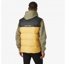 Чоловічий жилет Helly Hansen Active Puffy Vest 53989-389