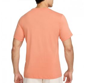 Футболка Nike Dry Tee Dfc Crew Solid AR6029-844