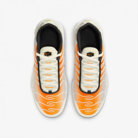 Кросівки Nike Air Max Plus CD0609-800_image_6