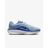 Кросівки Nike Air Winflo 11 FJ9509-404_image_1