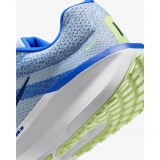Кросівки Nike Air Winflo 11 FJ9509-404_image_5