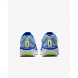 Кросівки Nike Air Winflo 11 FJ9509-404_image_9