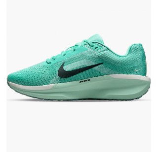 Кросівки Nike Air Winflo 11  FJ9510-305